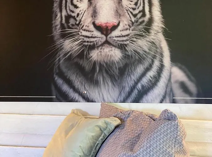 Maisonette Eifel, Mit Sauna Und Whirlpool * Dahlem (Euskirchen)